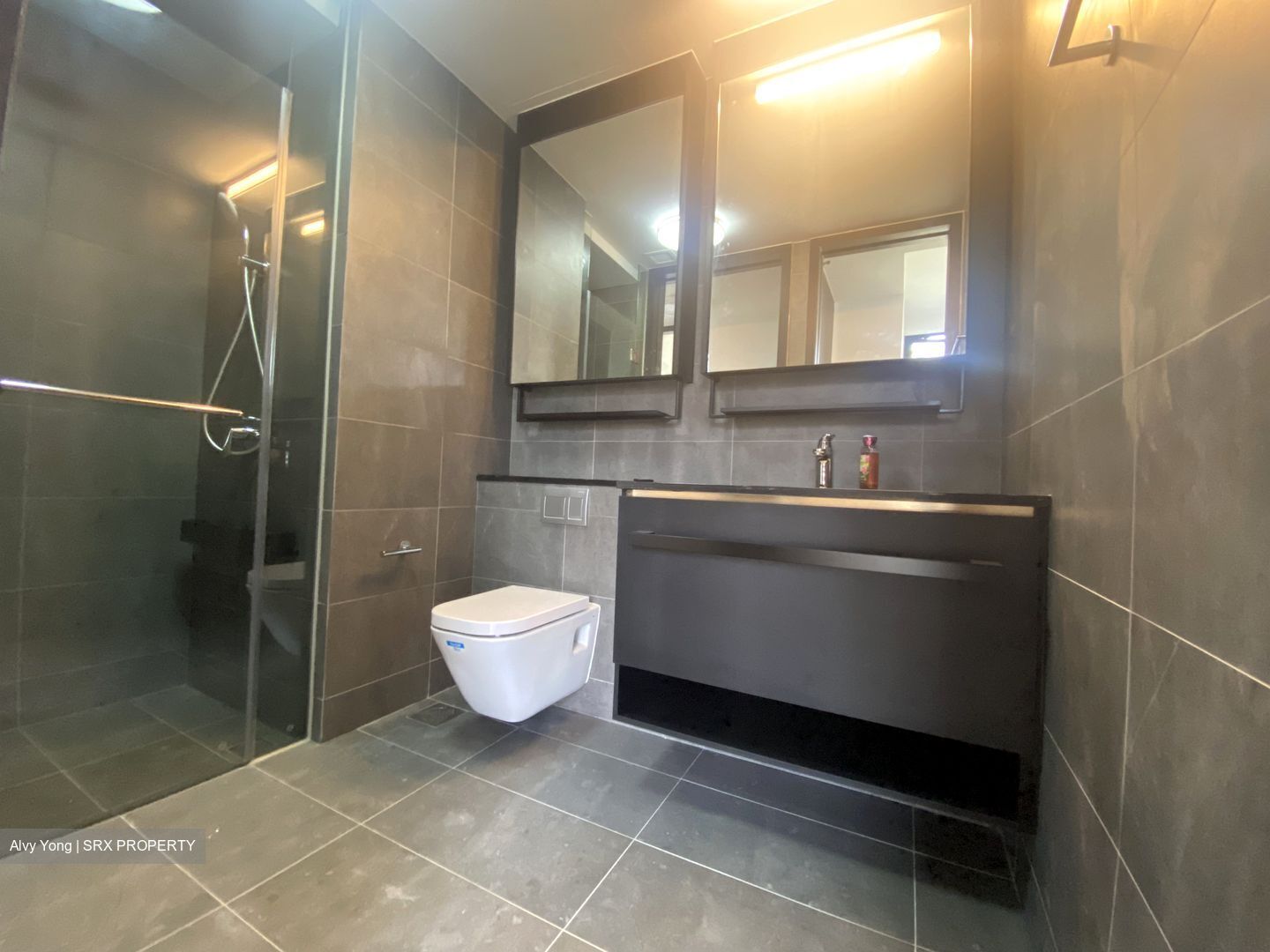 Park Colonial (D13), Condominium #355821791